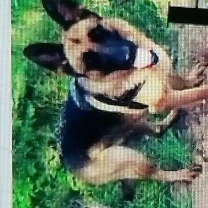 Meet your Posher, Tasha